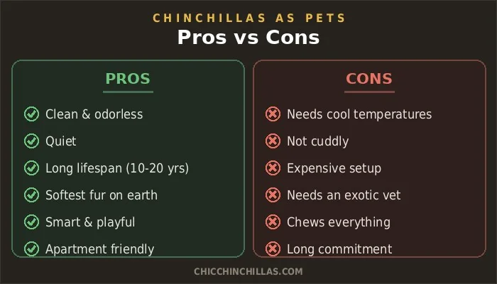 chinchilla pros and cons comparison chart