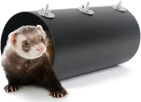safe cardboard tunnel toy for chinchillas